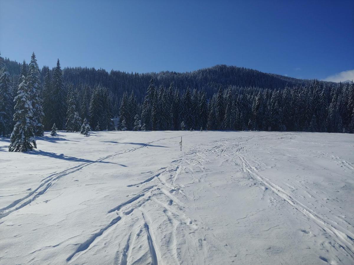 Villa Pokljuka Zgornje Gorje Kültér fotó