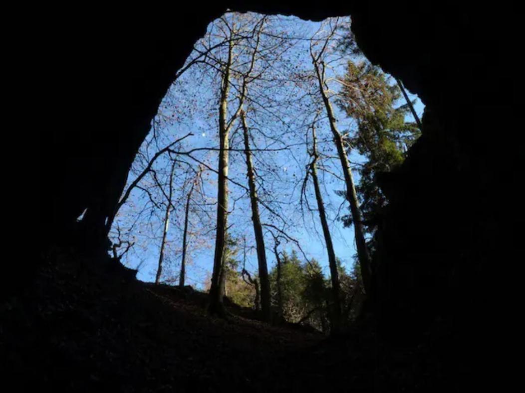 Villa Pokljuka Zgornje Gorje Kültér fotó