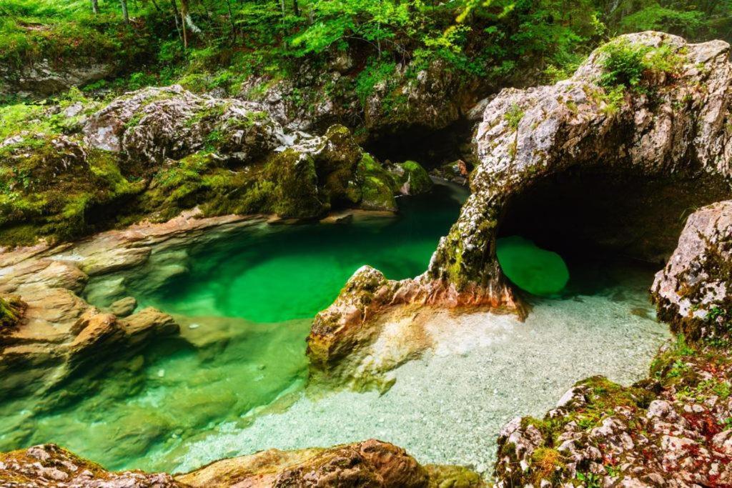 Villa Pokljuka Zgornje Gorje Kültér fotó